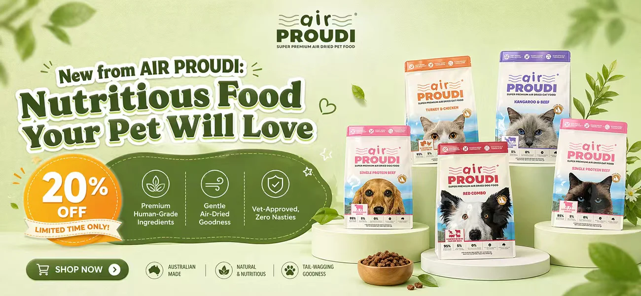 Elevate Your Pet's Lifestyle